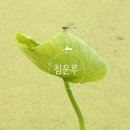 다산1리 이미지