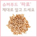 파로랑