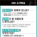 슈가복싱 이미지