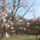 술장구