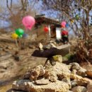 신한중관 이미지