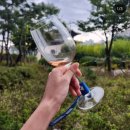 소로3-289 | 2024 와인앤버스커 JW메리어트 테이블 내돈내산 그리스와인 말라구지아 와인부스 후기