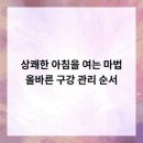 새로이 치과의원 이미지