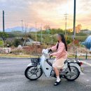 봉포 김여사 이미지