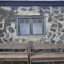 오조리-5 이미지