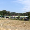 유계초등학교 이미지