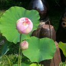 노적봉농장 이미지