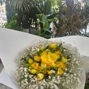 영플라워 | 관저동꽃집, 마음을 전하는 영플라워샵 꽃구경 후기