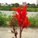 금호강2 이미지