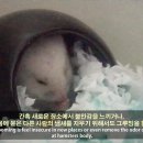 그루밍조이 이미지