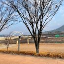 청도교 조형물 이미지