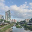 블랑PC방 | 갸빠의 광주여행 (1) 우취됐지만 오히려 좋잖아? / 동명동 맛집 캬베츠 코코로나인 블론디 광주천 25...