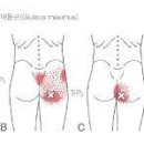 노바(NOVA GYM) 이미지