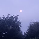 용진슈퍼 이미지