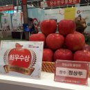 상두농장 네이버블로그