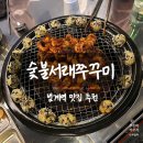 서래횟집 | [숯불서래쭈꾸미 본점] 안양 범계역 맛집 반려동물 동반 가능 내돈내산 솔직후기