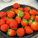 901 | 연기 안 나는 안방그릴 시즌5 AB901MF 후기😎