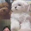 울산 이승진동물병원 이미지