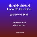 Rise Again In Grace 새 힘으로 날아오르리. 하나님을 바라보자 (이사야 30장) 말씀묵상 QT 김성수자 이미지