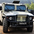 러시아 내무부(MVD) 산하 604 특수부대의 GAZ Tigr 장갑차 이미지