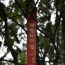 청수 곶자왈 이미지