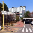 판교하나부동산중개 | 백현동 판교힐스의 경쟁력과 미래 가치 - 판교대림공인중개사/부동산