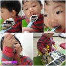 쭈니농산