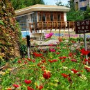 영랑생가안내소 이미지