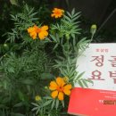 빛살림정골요법 이미지