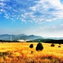 바람이 불어오는 곳 이미지