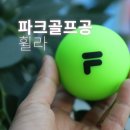 부모님 취미 선물 추천 휠라 5피스 파크골프공 파크볼 라운딩 후기
