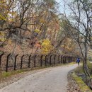 주왕산주산지민박 이미지