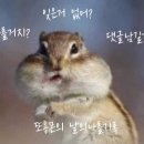코스팅뷰티살롱 이미지