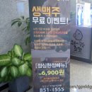 의정부 민락 오꾸꼬 : 치킨, 카페에 수영장까지