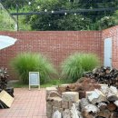 유등리 | 청도 소우주 카페 · 아기와 물놀이 · 예약 후기