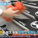 고일태권도 이미지