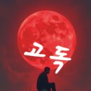 고독 산길 / 신 진 (辛 進 ) 이미지
