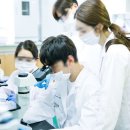 비에스씨company 이미지