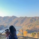 초원컴퓨터세탁 이미지