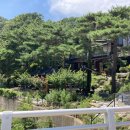 용소길 96 이미지