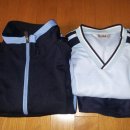 윤중중학교 이미지