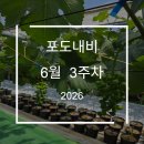 가온적산