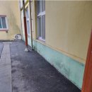 유등초등학교 이미지