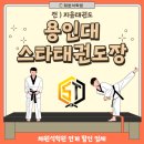 용인대 스타 태권도장 이미지