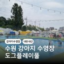 플레이도그 | 경기도 수원 강아지 수영장 도그플레이풀 여름 물놀이 내돈내산 후기