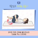 필라테스하다 - 강남구 학동로 165 | 필라테스하다
