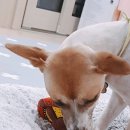 벌교사료 이미지