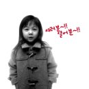 로또번호조합기 이미지