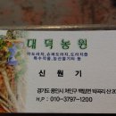 대덕농원 Daum카페