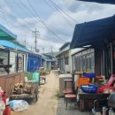 대구손칼국수 이미지